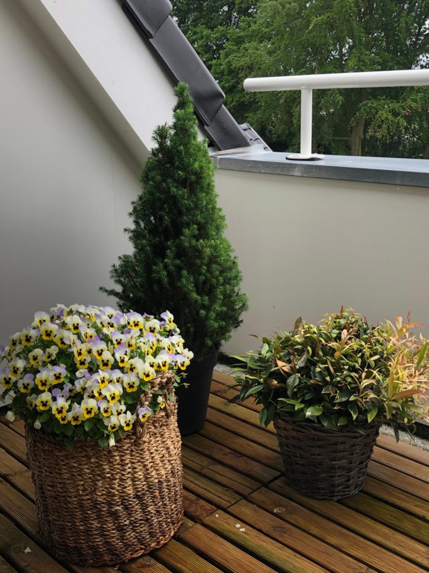Appartamento De Bakkerij Deurningen Esterno foto